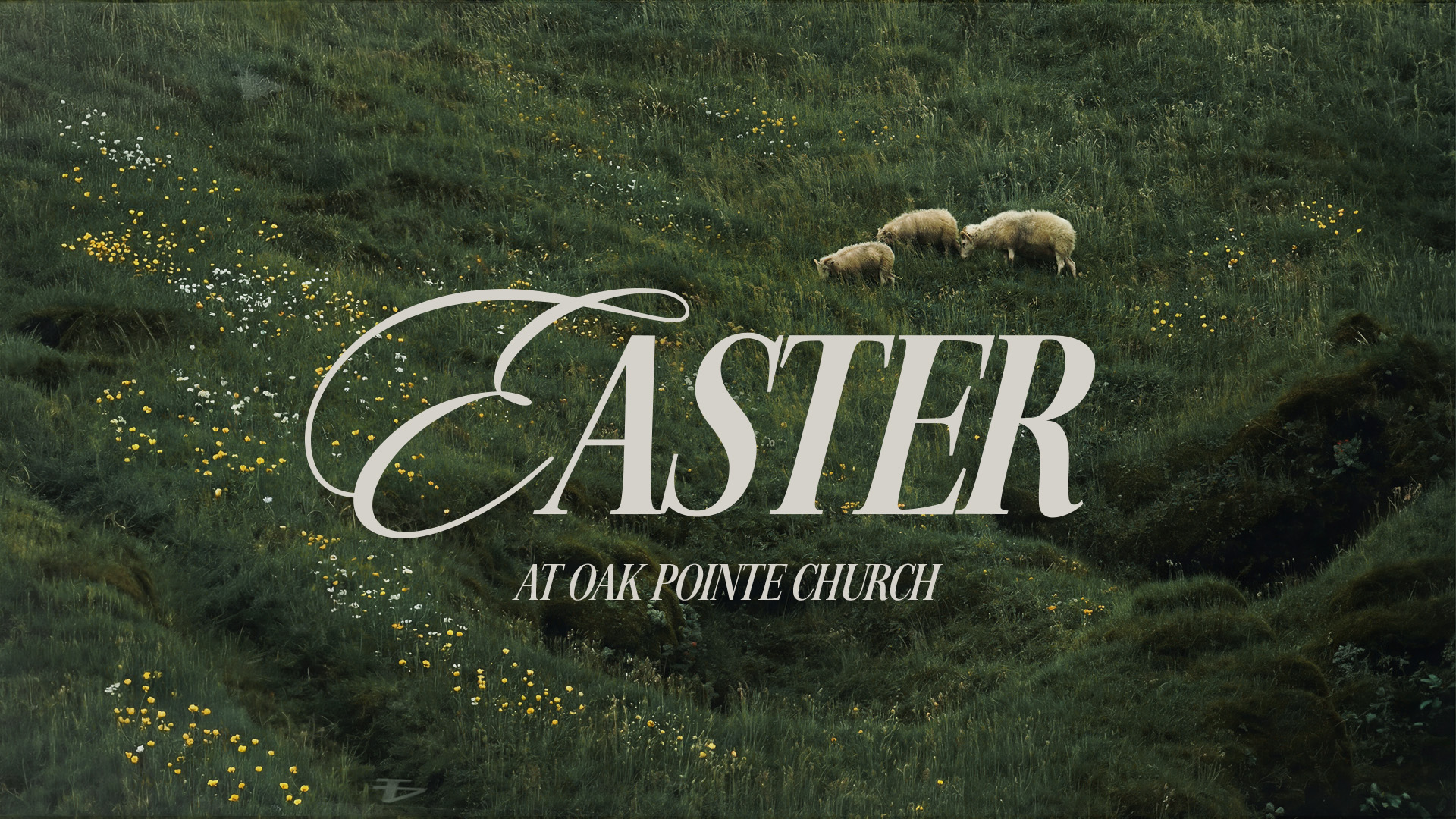 2026_Easter_Concepts_Updated